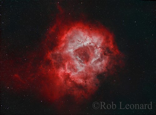 Rosette Nebula processed by Rob Leonard